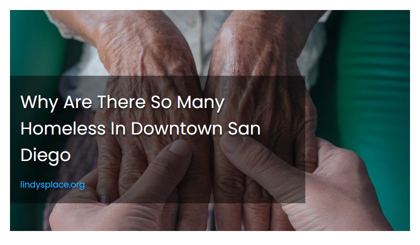 Why Are There So Many Homeless In Downtown San Diego