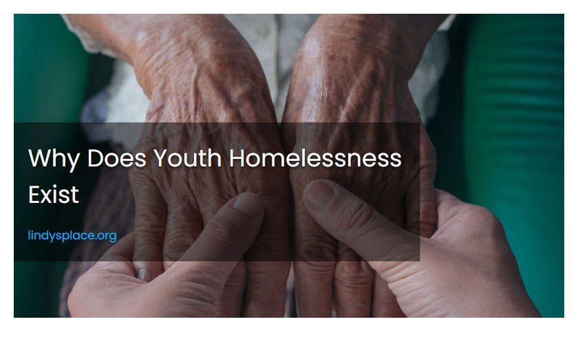 Why Does Youth Homelessness Exist