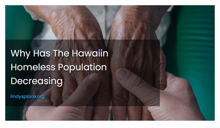 Why Has The Hawaiin Homeless Population Decreasing