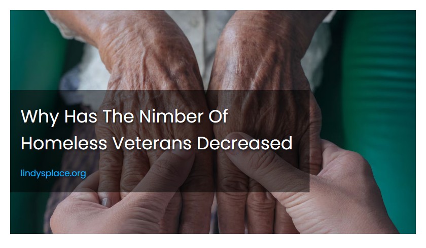 Why Has The Nimber Of Homeless Veterans Decreased