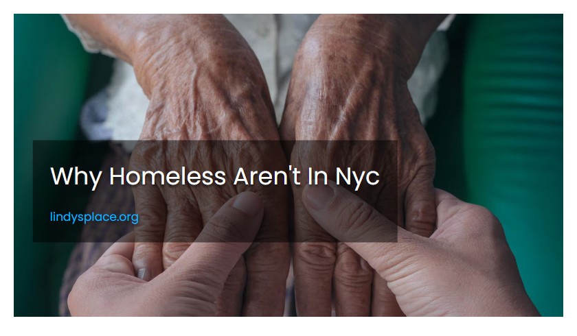 Why Homeless Aren't In Nyc