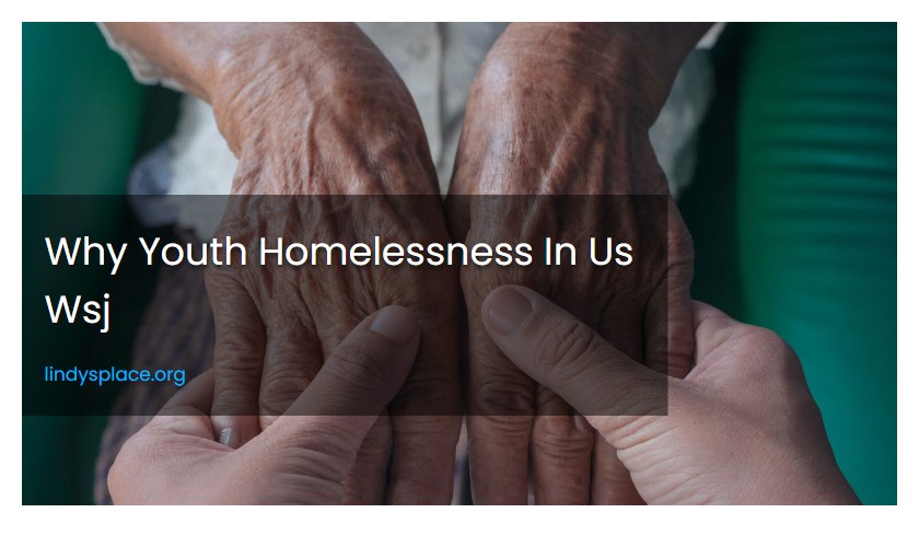 Why Youth Homelessness In Us Wsj